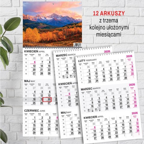 Press Kalendarz ścienny GÓRY 310mm x 790mm Press