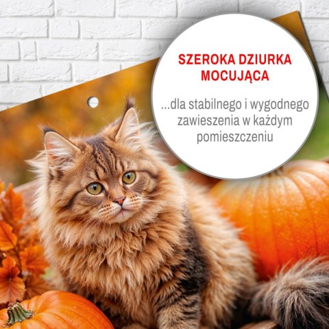 Press Kalendarz ścienny KOT 310mm x 790mm Press