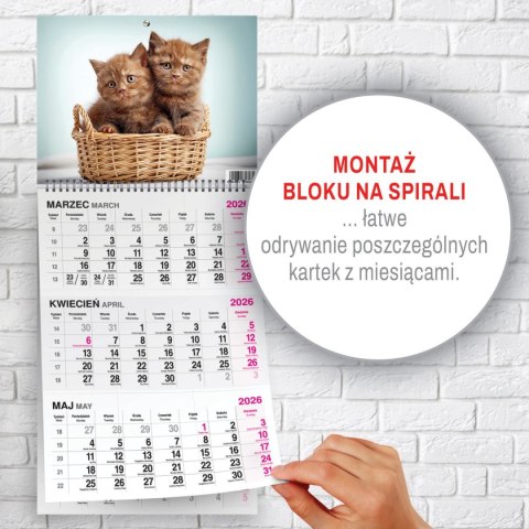 Press Kalendarz ścienny KOT 310mm x 790mm Press