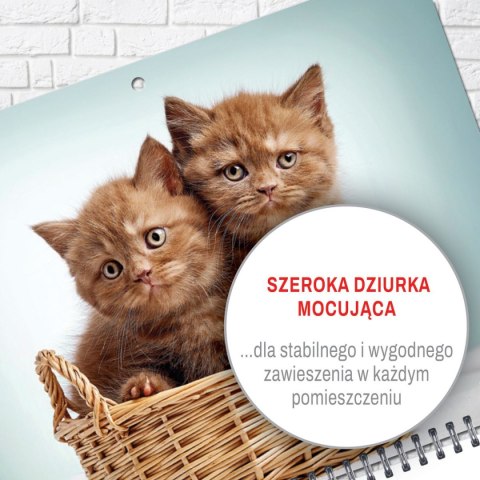 Press Kalendarz ścienny KOT 310mm x 790mm Press