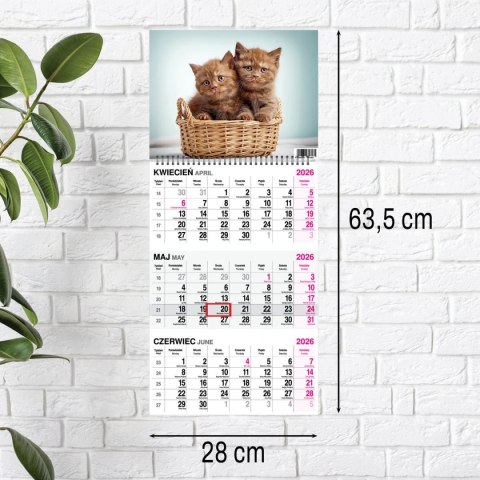 Press Kalendarz ścienny KOT 310mm x 790mm Press