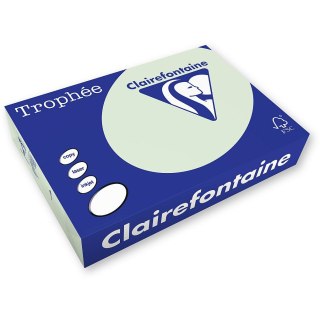 Trophee Papier kolorowy A4 kolorowy zielony jasny 500k. 160g Trophee (xca41051)