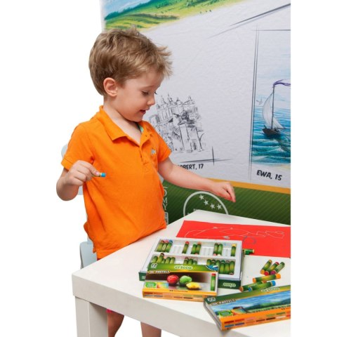 Cricco Pastele olejne 12 kol. Cricco (CR48112/A)