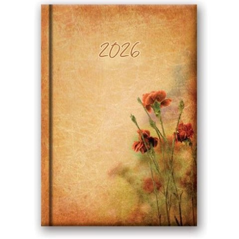 Lucrum Kalendarz książkowy (terminarz) WYCINANKA B6 Lucrum (41DS)