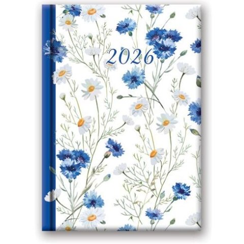 Lucrum Kalendarz książkowy (terminarz) WYCINANKA B6 Lucrum (41DS)