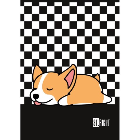 Unipap Zeszyt St.Right A4 32k. krata Unipap