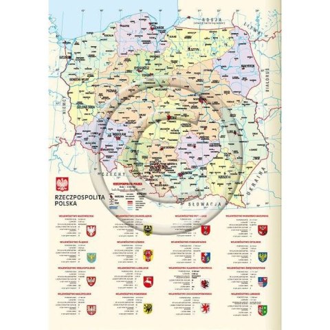Lucrum Kalendarz książkowy (terminarz) A6 Lucrum (TS11)