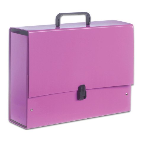 Tadeo Teczka kartonowa na zatrzask B4 wrzosowa Tadeo (TT7721)