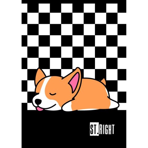 Unipap Zeszyt St.Right A4 32k. linia Unipap