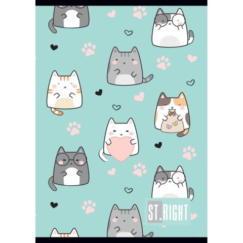 Unipap Zeszyt St.Right A4 32k. linia Unipap