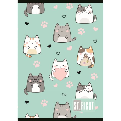 Unipap Zeszyt St.Right A5 32k. 70g krata Unipap