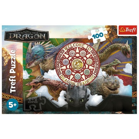 Trefl Puzzle Jak Wytresowac Smoka Smoki w akcji 100 el. Trefl (16524)