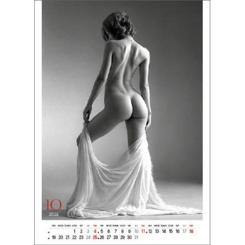 Jotan Kalendarz ścienny EROTIC ART wieloplanszowy 350mm x 300mm Jotan (WP147)