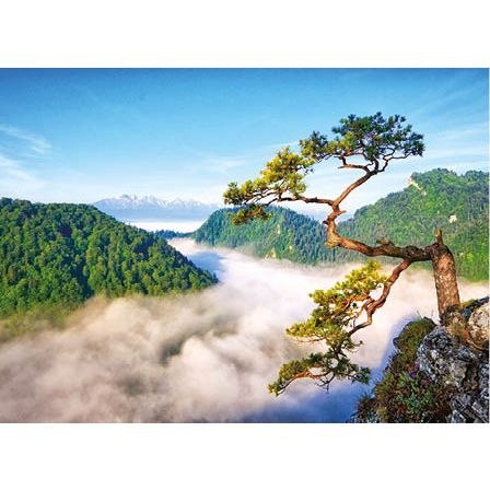 Jotan Kalendarz ścienny Limba na Sokolnicy trójdzielne 320mm x 855mm Jotan (t54)