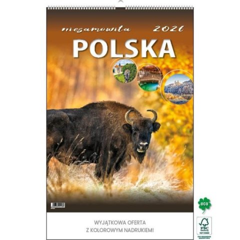 Jotan Kalendarz ścienny NIESAMOWITA POLSKA wieloplanszowy 330mm x 500mm Jotan (WP116)