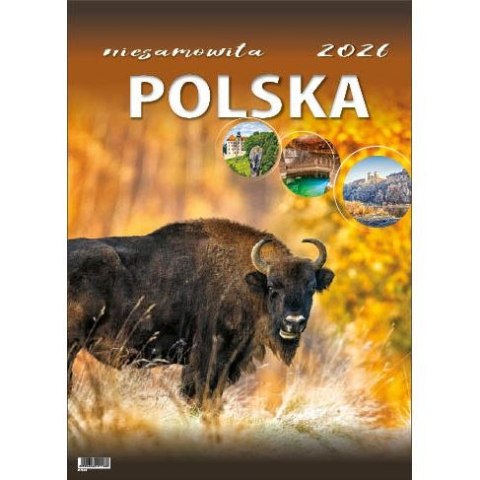 Jotan Kalendarz ścienny NIESAMOWITA POLSKA wieloplanszowy 330mm x 500mm Jotan (WP116)