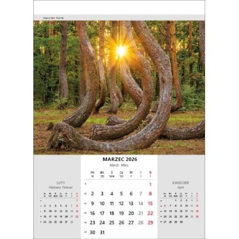 Jotan Kalendarz ścienny NIESAMOWITA POLSKA wieloplanszowy 330mm x 500mm Jotan (WP116)