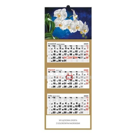 Jotan Kalendarz ścienny Orchidea TRÓJDZIELNY Jotan (T45)