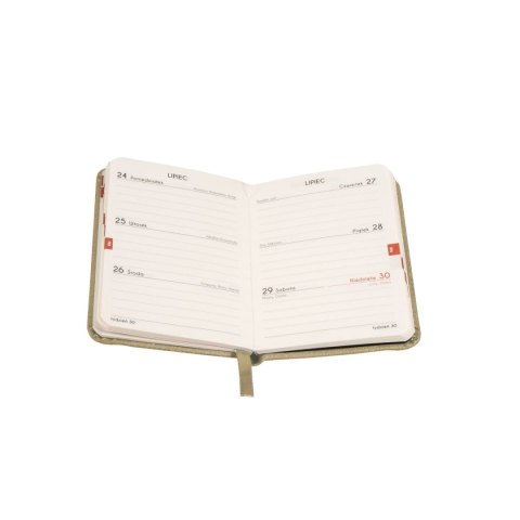 Antra Kalendarz książkowy (terminarz) BEŻOWY AVANGARDA A7 Antra (2026)