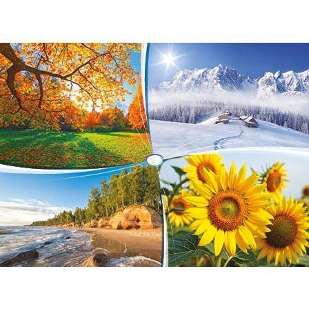 Jotan Kalendarz ścienny 4 PORY ROKU trójdzielny Jotan (T39)