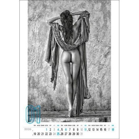 Jotan Kalendarz ścienny DERRIERE 12 KARTKOWY 33,8mm x 5000mm Jotan (WP141)