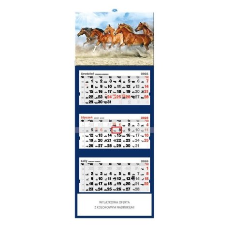 Jotan Kalendarz ścienny KONIE trójdzielne- Jotan (T46)
