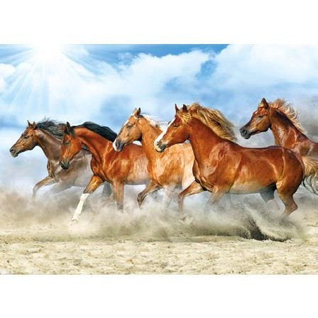 Jotan Kalendarz ścienny KONIE trójdzielne- Jotan (T46)