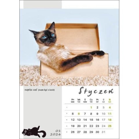 Jotan Kalendarz ścienny KOT W BIURZE WIELOPLANSZOWY A3 Jotan (WP136)