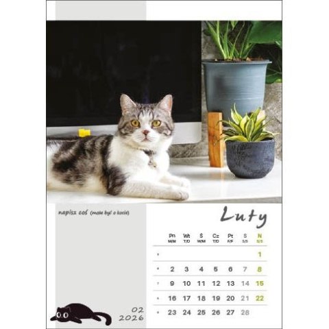 Jotan Kalendarz ścienny KOT W BIURZE WIELOPLANSZOWY A3 Jotan (WP136)