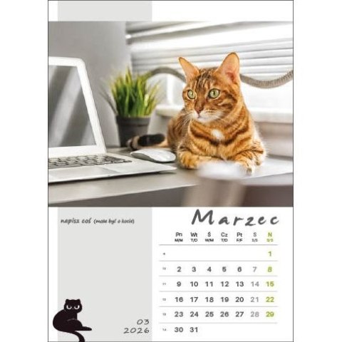 Jotan Kalendarz ścienny KOT W BIURZE WIELOPLANSZOWY A3 Jotan (WP136)