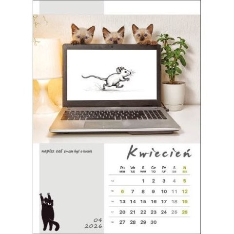 Jotan Kalendarz ścienny KOT W BIURZE WIELOPLANSZOWY A3 Jotan (WP136)