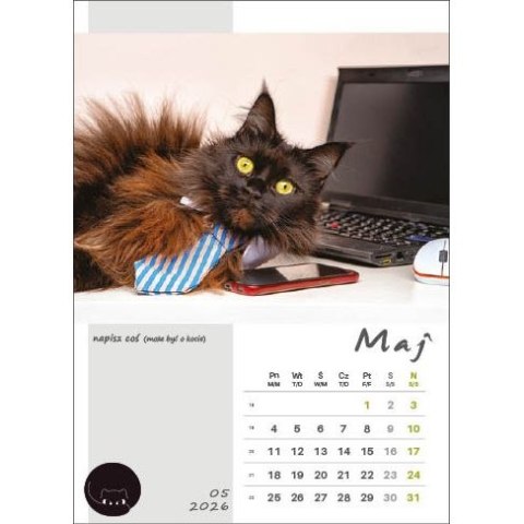Jotan Kalendarz ścienny KOT W BIURZE WIELOPLANSZOWY A3 Jotan (WP136)