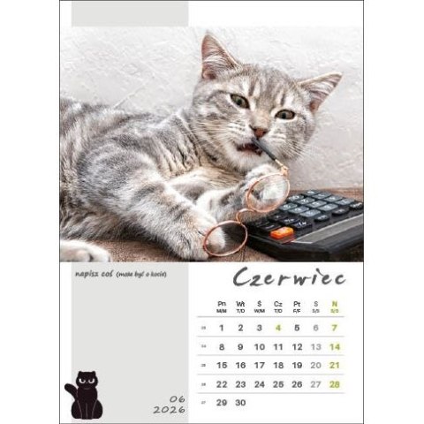 Jotan Kalendarz ścienny KOT W BIURZE WIELOPLANSZOWY A3 Jotan (WP136)