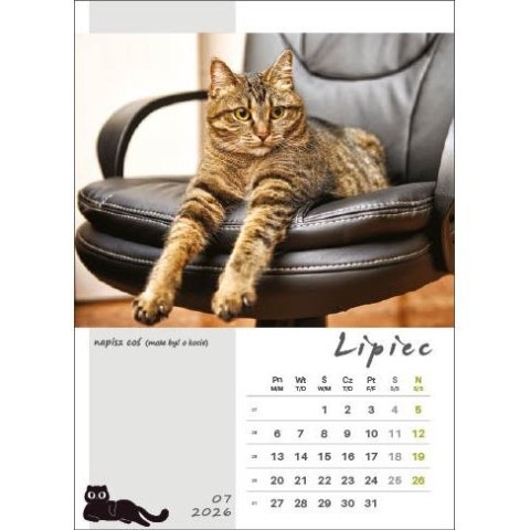 Jotan Kalendarz ścienny KOT W BIURZE WIELOPLANSZOWY A3 Jotan (WP136)