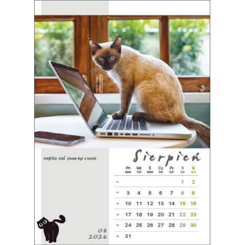 Jotan Kalendarz ścienny KOT W BIURZE WIELOPLANSZOWY A3 Jotan (WP136)
