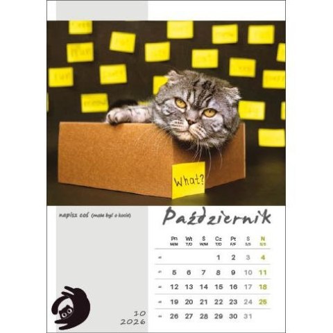 Jotan Kalendarz ścienny KOT W BIURZE WIELOPLANSZOWY A3 Jotan (WP136)