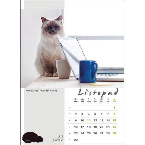 Jotan Kalendarz ścienny KOT W BIURZE WIELOPLANSZOWY A3 Jotan (WP136)