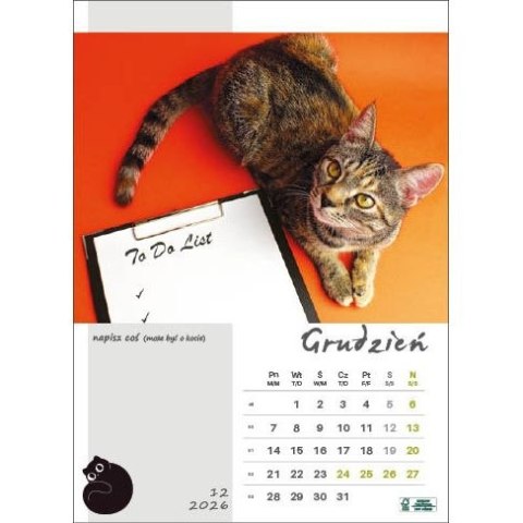 Jotan Kalendarz ścienny KOT W BIURZE WIELOPLANSZOWY A3 Jotan (WP136)