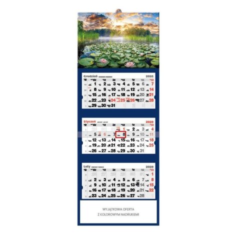 Jotan Kalendarz ścienny Lilie wodne tróijdzielny 320mm x 855mm Jotan (T50)