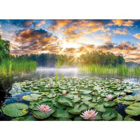 Jotan Kalendarz ścienny Lilie wodne tróijdzielny 320mm x 855mm Jotan (T50)