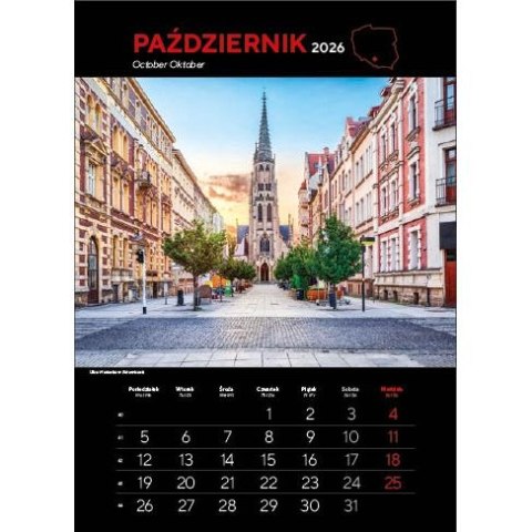 Jotan Kalendarz ścienny NAJ.MIASTA POLSKI 13 planszowe 315mm x 500mm Jotan (WP 119)