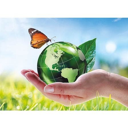 Jotan Kalendarz ścienny NATURA TRÓJDZIELNY 320mm x 855mm Jotan (T64)