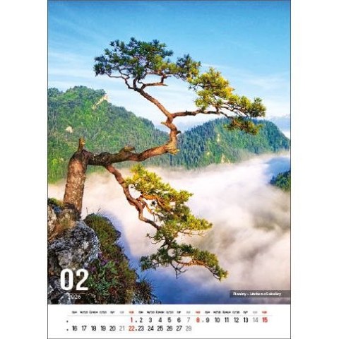 Jotan Kalendarz ścienny POLSKIE GÓRY 13-kartkowe- 330mm x 500mm Jotan (W117)