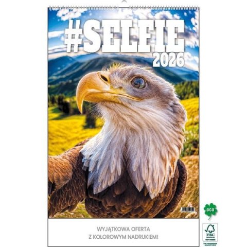 Jotan Kalendarz ścienny SELFIE 13-KARTKOWY A3+ Jotan (WP135)