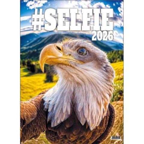 Jotan Kalendarz ścienny SELFIE 13-KARTKOWY A3+ Jotan (WP135)