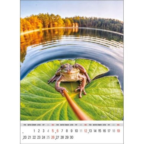 Jotan Kalendarz ścienny SELFIE 13-KARTKOWY A3+ Jotan (WP135)