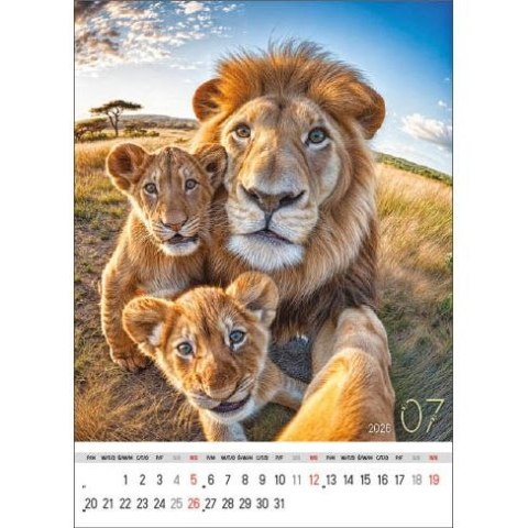 Jotan Kalendarz ścienny SELFIE 13-KARTKOWY A3+ Jotan (WP135)