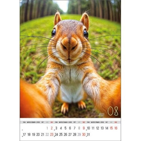 Jotan Kalendarz ścienny SELFIE 13-KARTKOWY A3+ Jotan (WP135)