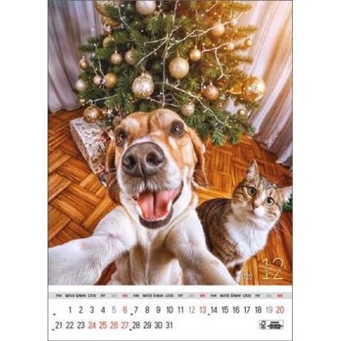 Jotan Kalendarz ścienny SELFIE 13-KARTKOWY A3+ Jotan (WP135)