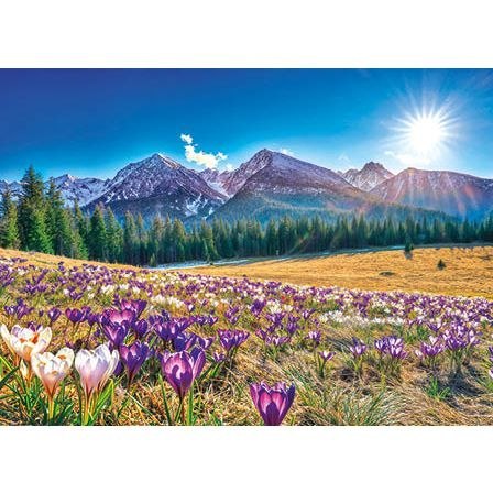 Jotan Kalendarz ścienny ZACHÓD SŁOŃCA trójdzielny A3+ Jotan (T43)